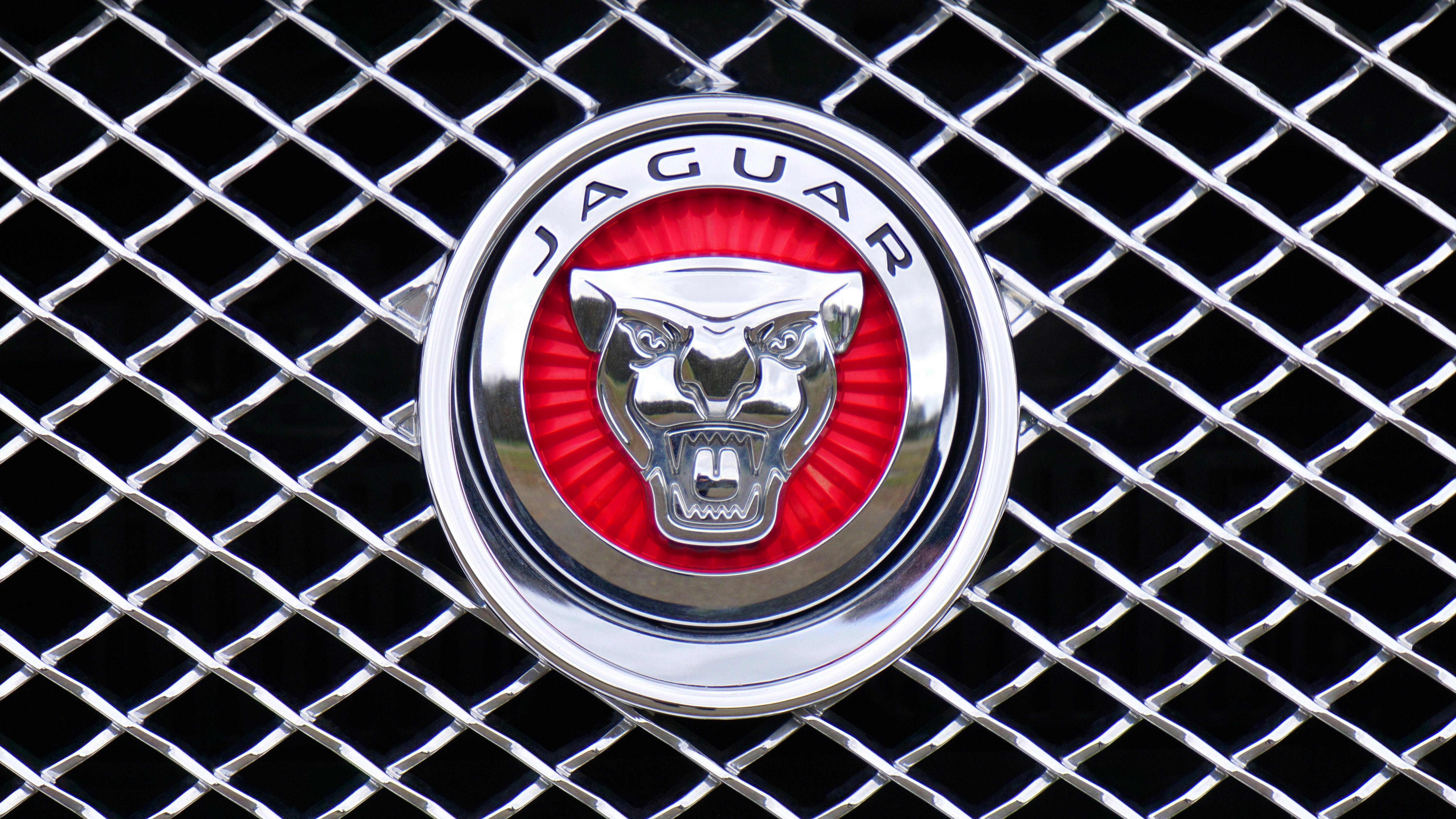 Our Most Reliable Customer Jaguar